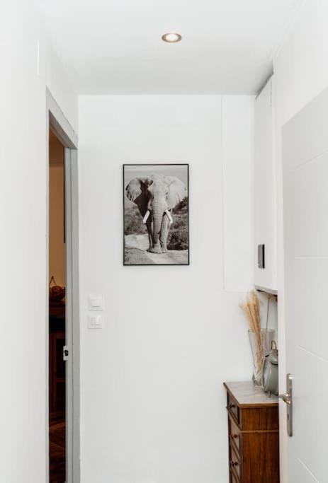 Apartment Acacia Magnifique T2 Renove. *